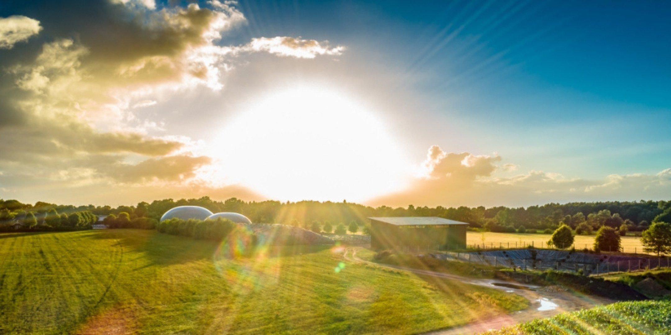 Das Bild zeigt eine sonnige Landschaft mit einer Biogasanlage in der Ferne.