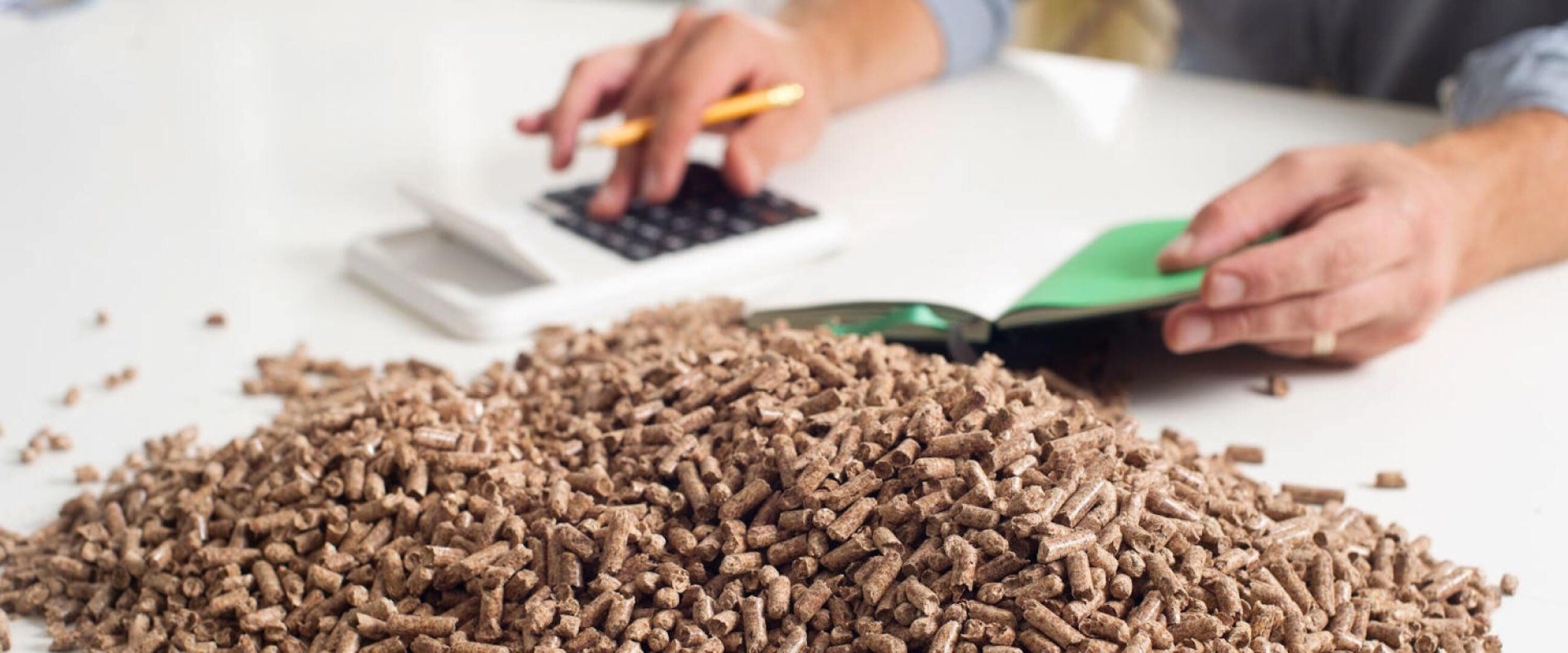 Im Vordergrund sind aufgehäufte Pellets zu sehen, im Hintergrund ein Mensch, der die Vor- und Nachteile der Pelletheizung abwägt.