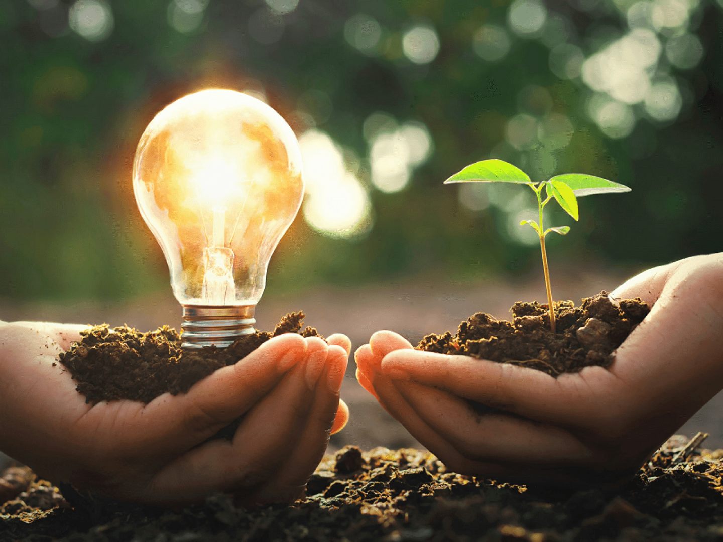 Ein Bild stellt dar, inwiefern sich eine Photovoltaik für die Umwelt lohnt.