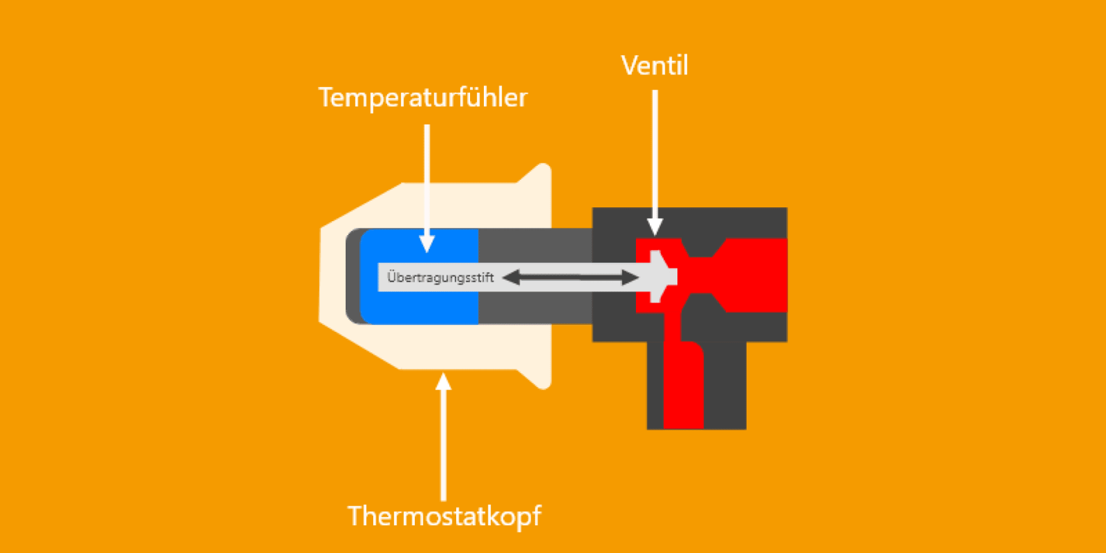 Die Grafik zeigt die einzelnen Bestandteile eines Thermostats an einer Heizung, die man benötigt, um die Temperatur einzustellen.