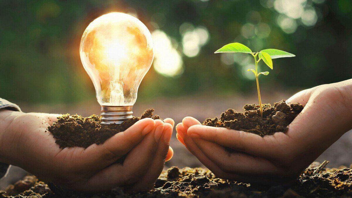 Je eine Handvoll mit Erde & einer Pflanze & einer Glühbirne symbolisieren die Energieerzeugung mit erneuerbaren Energien.