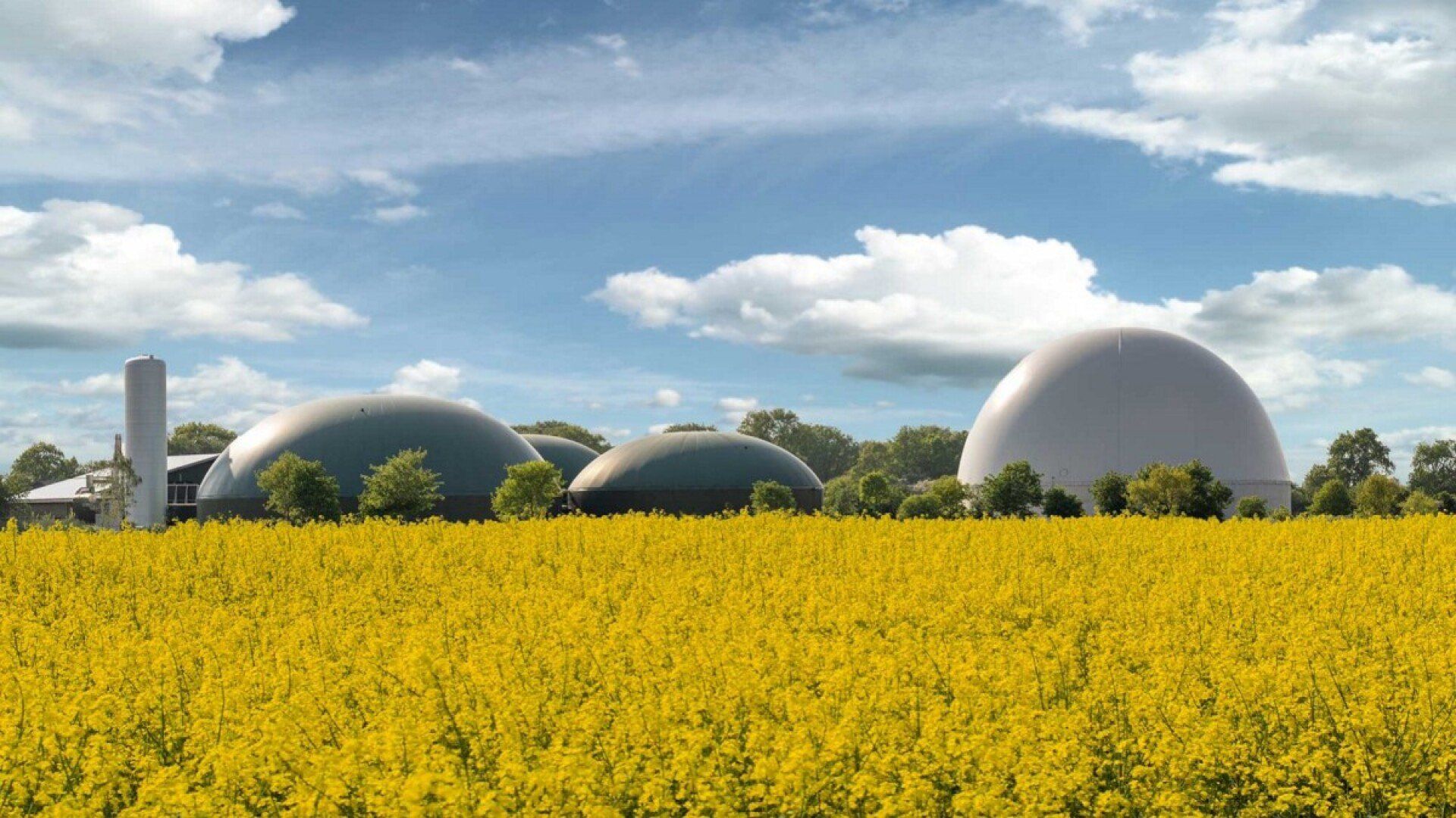 Eine Anlage für Biogas, aus dem Biomethan erzeugt wird.