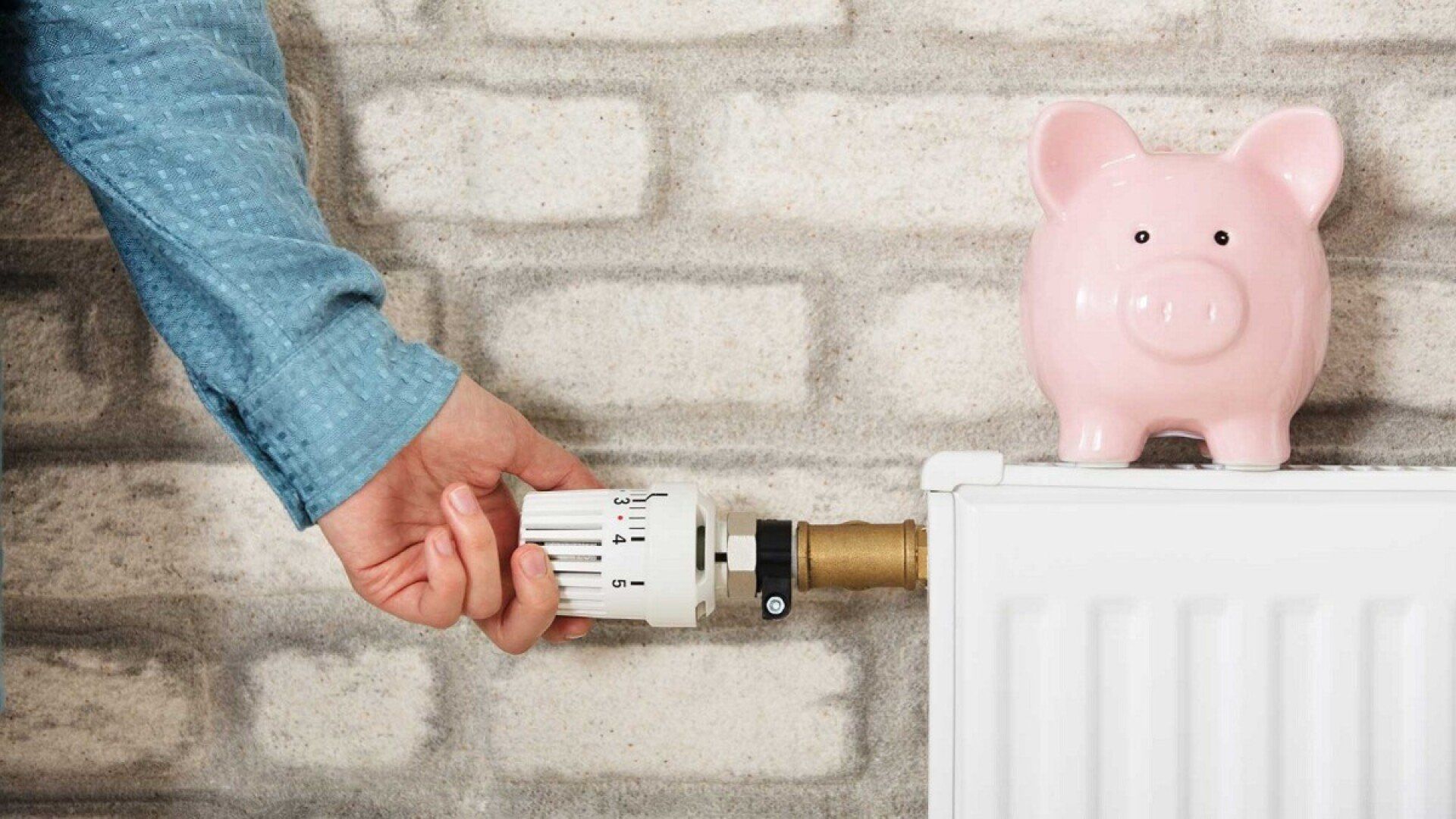 Auf dem Bild ist ein Sparschwein auf einer Heizung abgebildet, um die Möglichkeit im Haushalt Gas zu sparen, darzustellen.