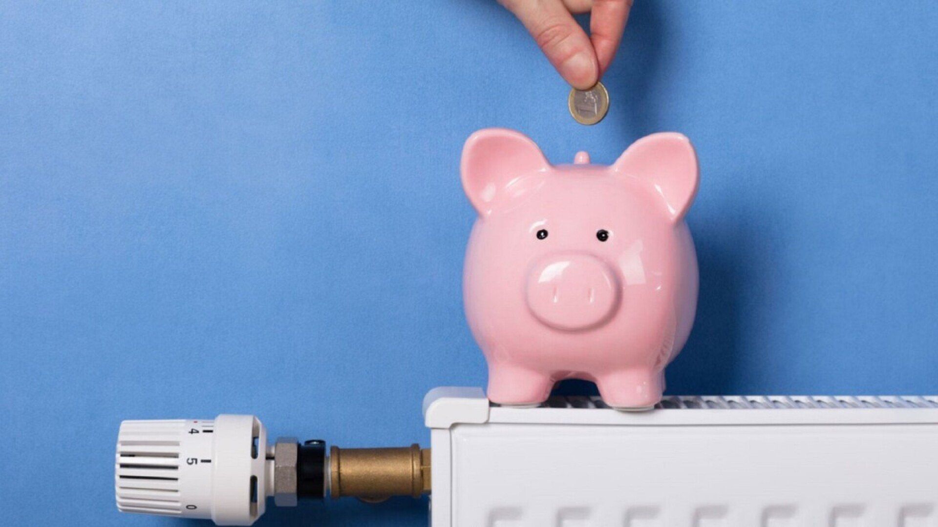 Ein Sparschwein symbolisiert die Förderung einer Gasheizung.