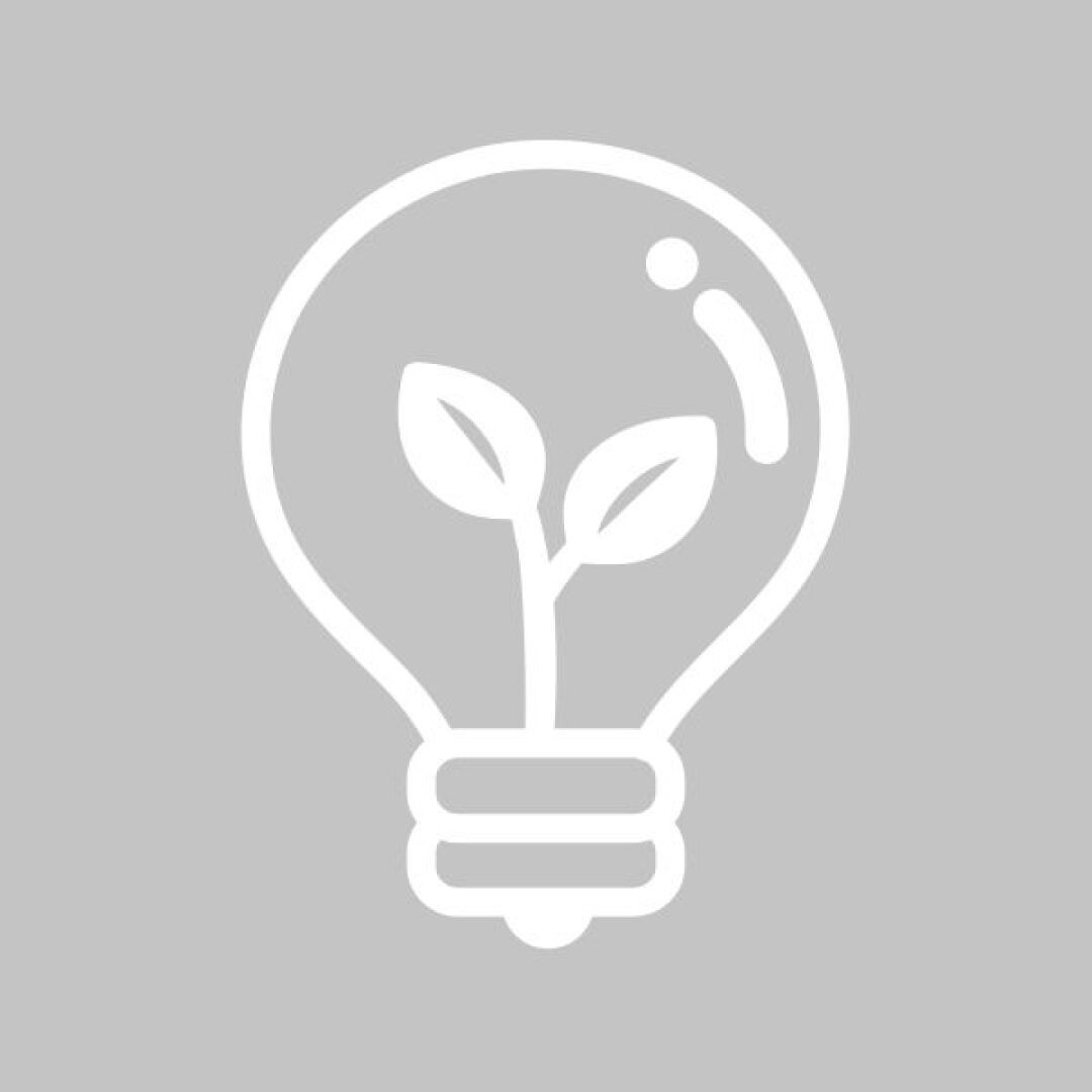 Eine Glühbirne mit Blättern symbolisiert Energiegesetze zu den erneuerbaren Energien.