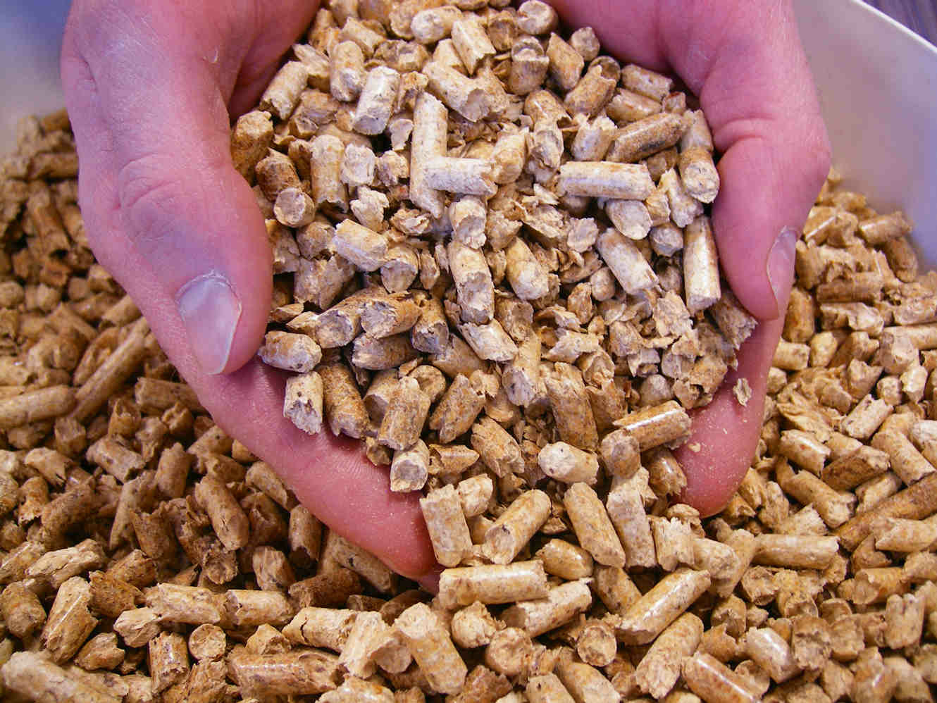 Biomasse Pellets