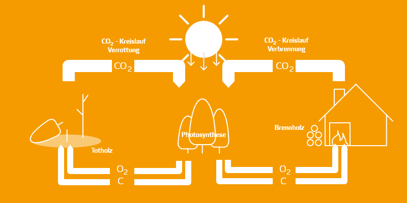 Auf der Infografik ist der Kreislauf der Photosynthese dargestellt. Es wird gezeigt, dass bei der Verbrennung von Holz in einer Holzheizung ebenfalls CO2 an die Bäume zurückgegeben wird, wie bei der natürlichen Verrottung von Totholz. 