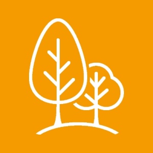 Ein Baum-Icon symbolisiert den Eingriff ins Landschaftsbild durch Windenergie als Teil der Vor- und Nachteile. 